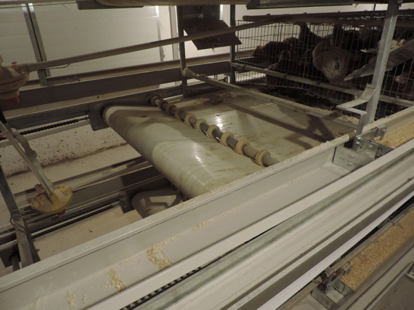 層疊式蛋雞籠養(yǎng)養(yǎng)雞設備